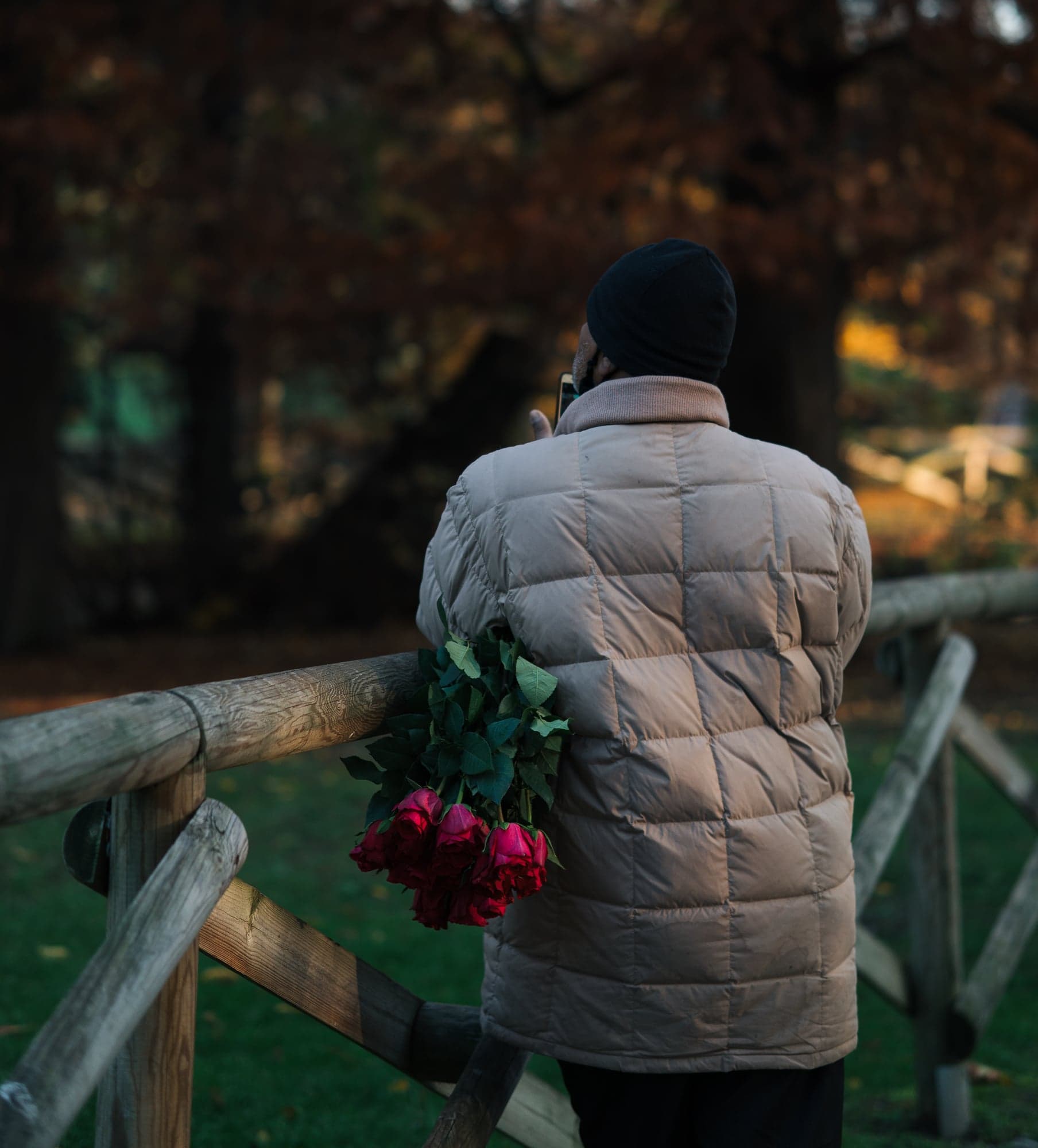 Roses In Parco Sempione